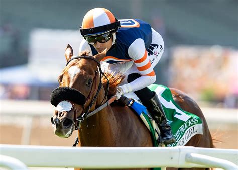 Breeders' Cup Gates & Entry Process .